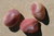 Botswana Achat Trommelsteine rosa