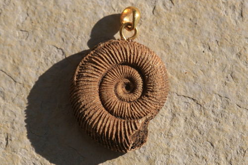Ammonit mit vergoldeter Öse 02