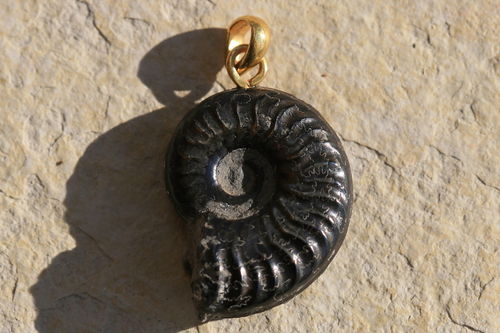 Ammonit mit vergoldeter Öse 04