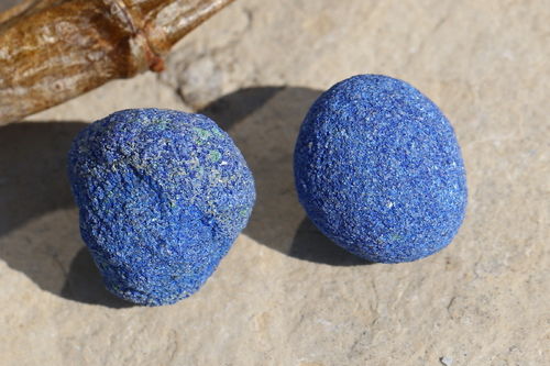 Azurit 'Blueberry' 03