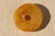 Bernstein Donut 06