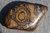 Stromatolith Trommelstein P02