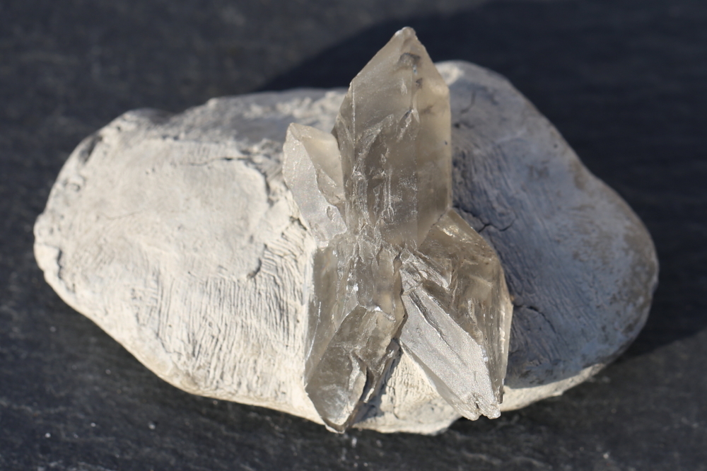 Gipskristall in Tonstein